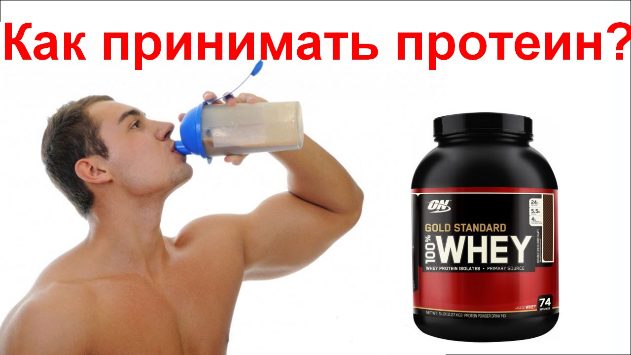 Что такое сывороточный протеин