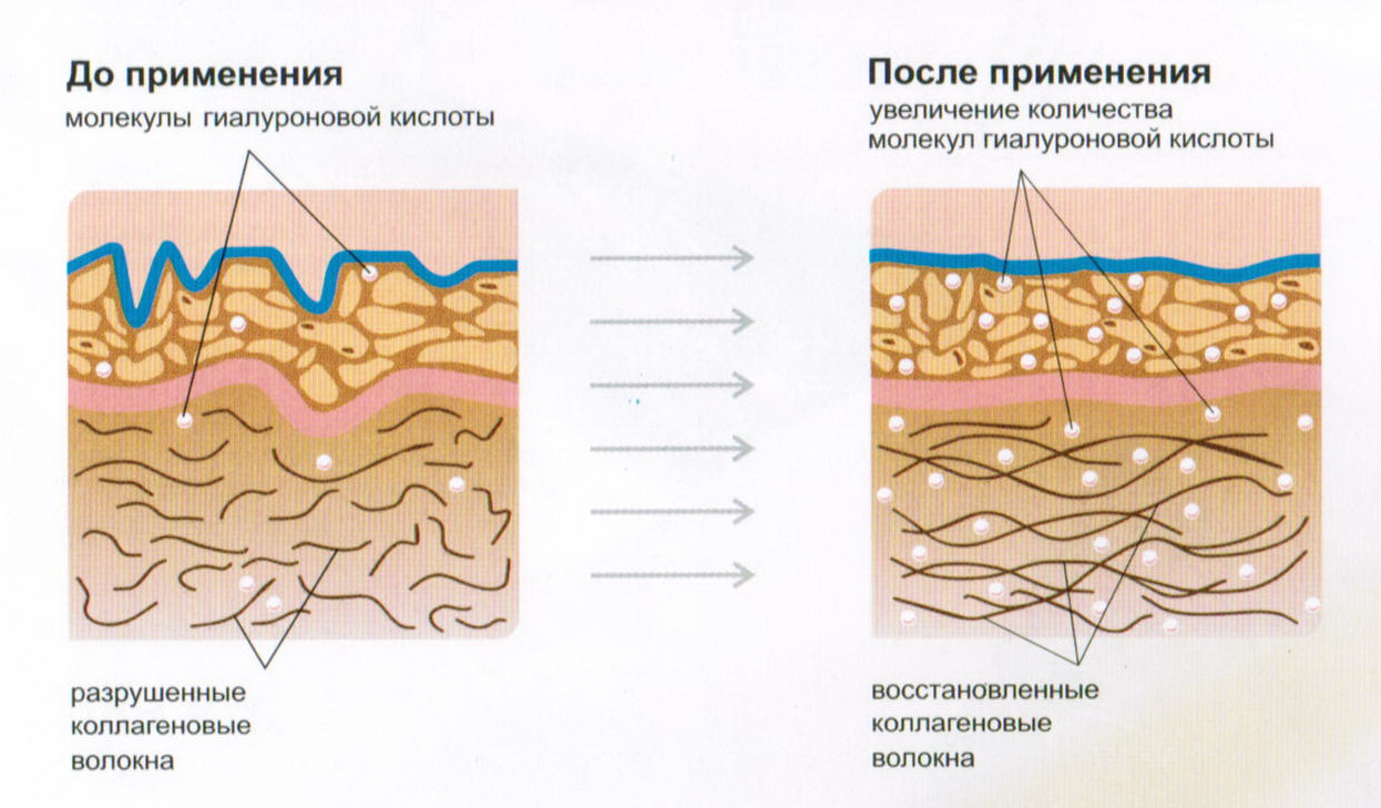 Свойства коллагена