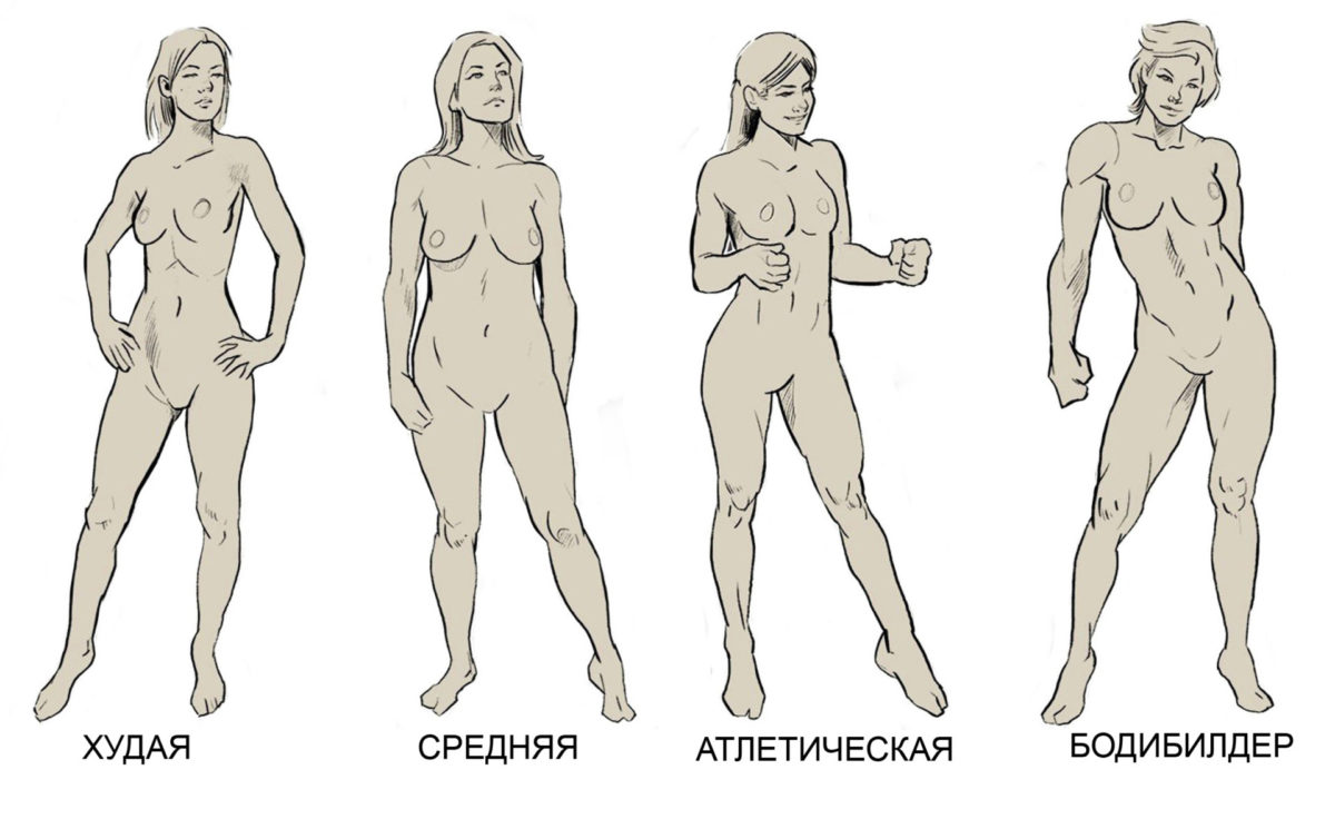 Типы телосложения