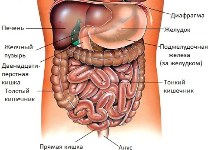 Жир Жир