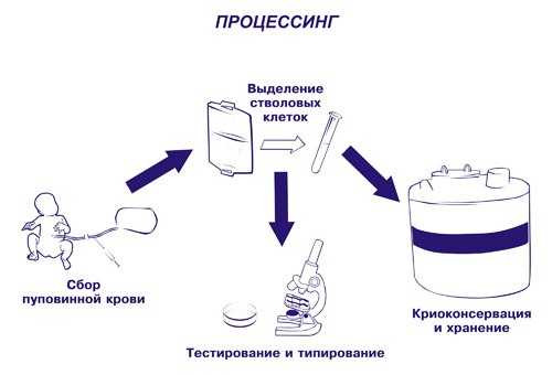 pupovinnaya-krov